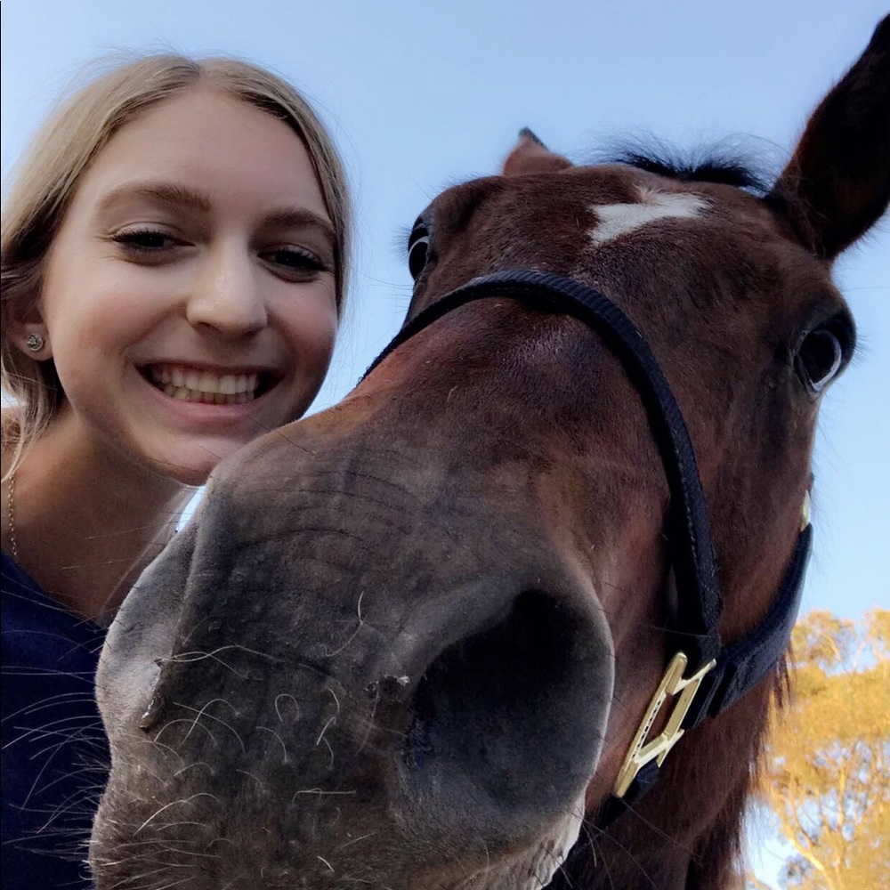 Meet your Posher, Allison